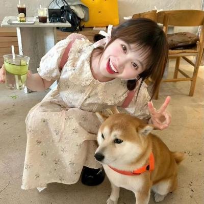 千谎百计第一季